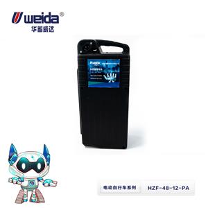 48V电动自行车动力电池