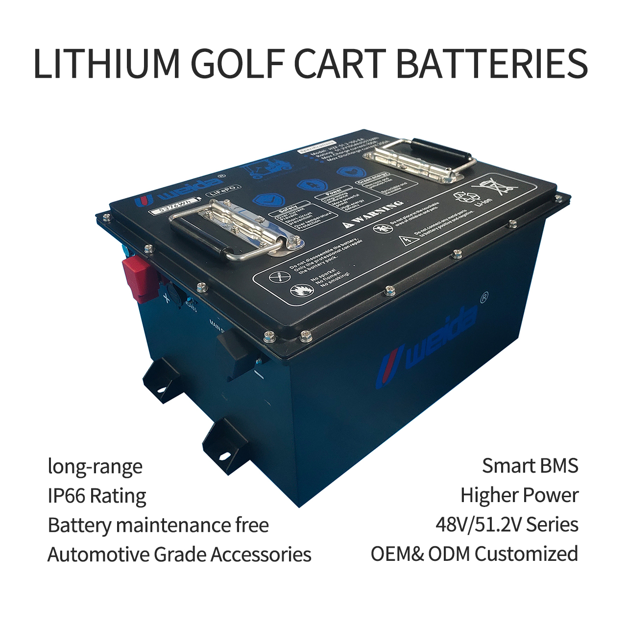 Batería para carrito de golf LiFePO4, batería para carrito de golf de litio de 48v, batería para carrito de golf