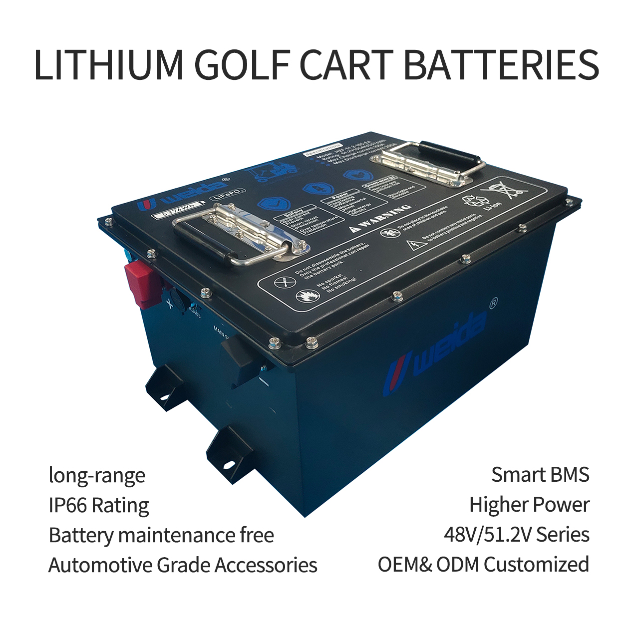 Pin xe golf LiFePO4 Pin xe golf lithium 48v pin xe golf Pin xe golf LiFePO4 Pin xe golf lithium 48v pin xe golf
