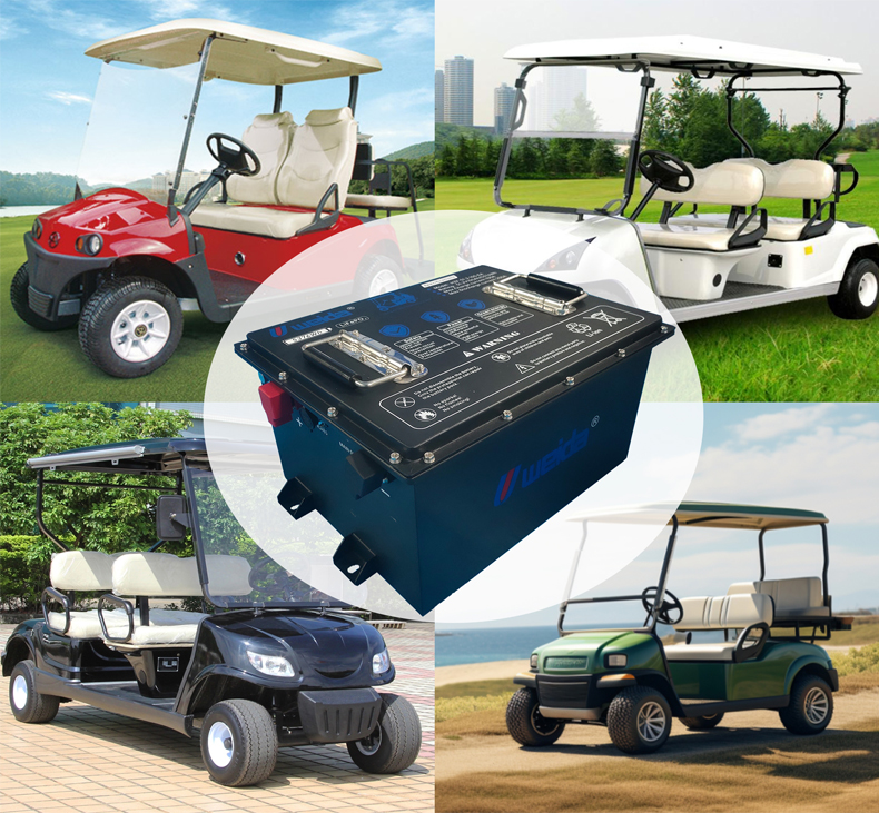 LiFePO4 GOLF CART BATTERY