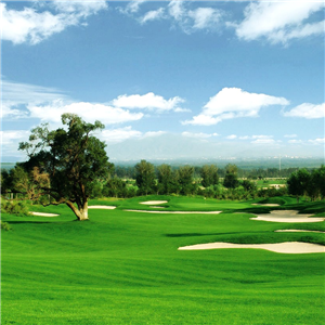 铅改锂：技术革新与市场转型