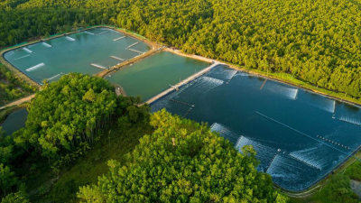 AQUACULTURE - Étangs à poissons et crevettes