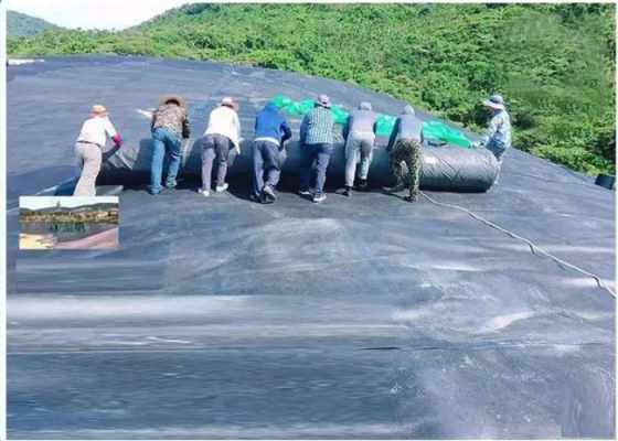 Notre équipe de construction d'ingénierie professionnelle