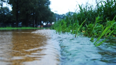 EAU - Eaux pluviales