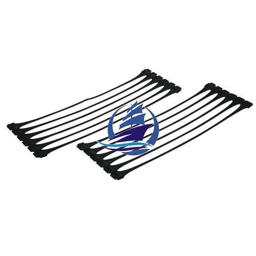 HDPE Geogriglie uniassiali Vialetto