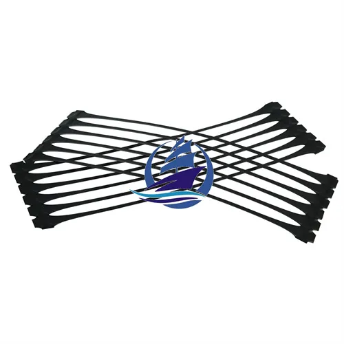 HDPE Geogriglie uniassiali Vialetto