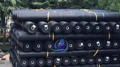 ما هو HDPE Geomembrane؟