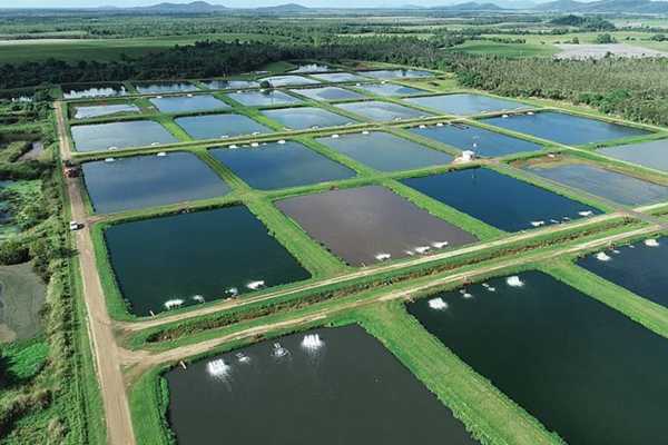 geomembrane pond liner