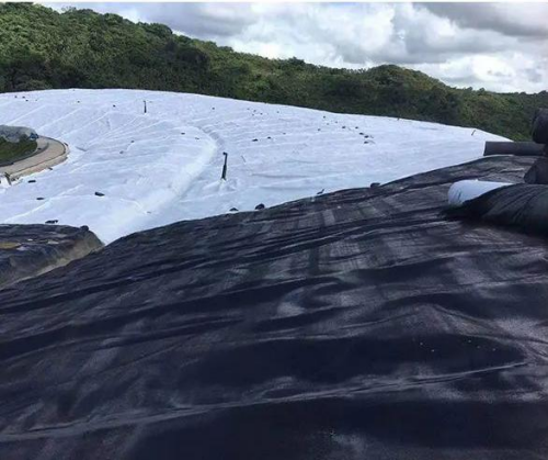 Geomembrane