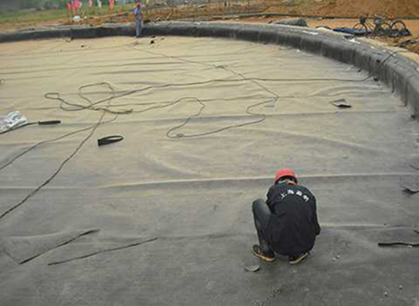 Geomembrane Last