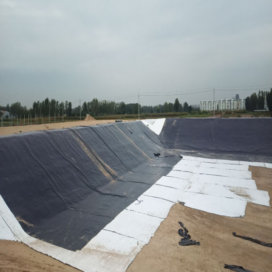 Géocomposites : géomembranes géocomposites innovantes pour le drainage