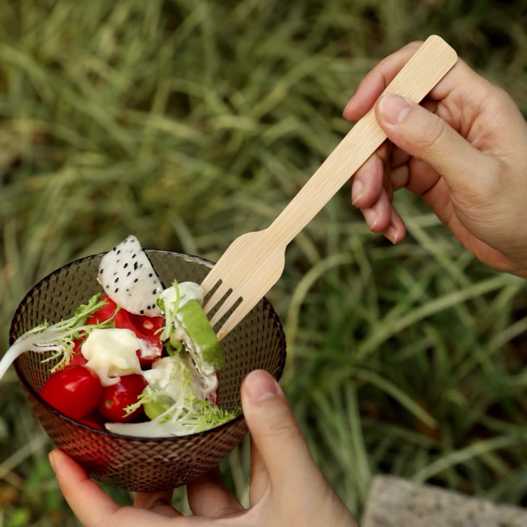 disposable fork