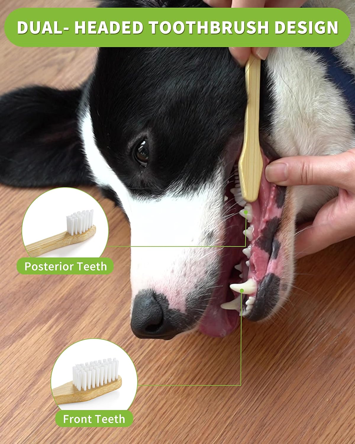 bamboo dog toothbrush