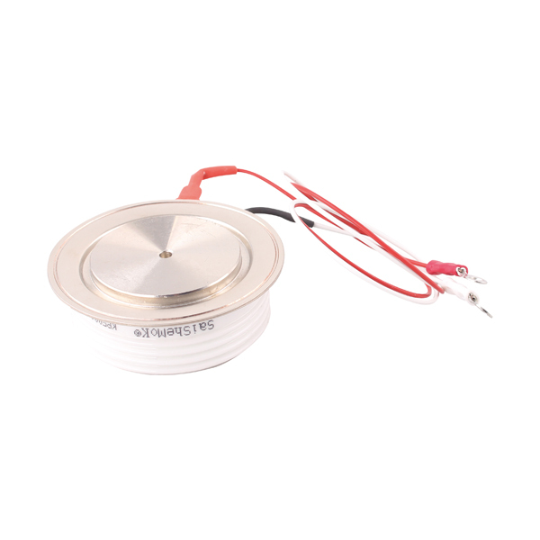 Soft Start Special Capsule Type Module