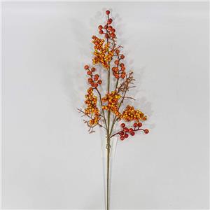 Harvest Orange Berries Picks And Sprays