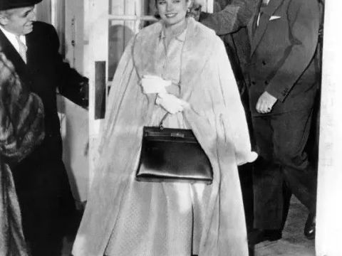 Brand's handbag that look like Hermes Kelly