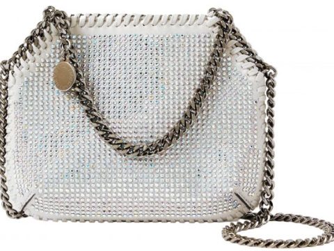 Discover the Perfect Crystal Bag for Your Journey