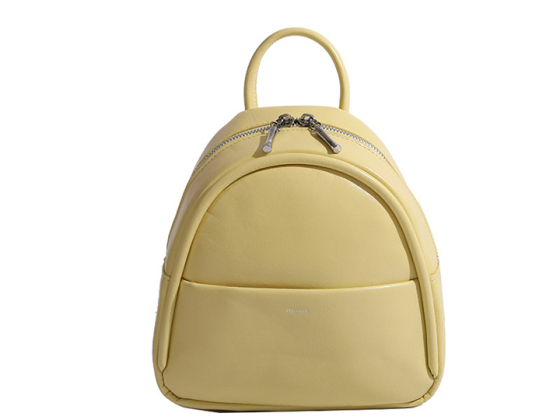 Luxury Bag Crossbody Ladies backpack