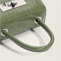 Luxury Case Crossbody Ladies Handbags