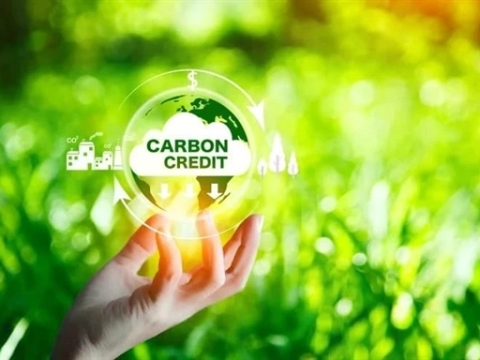 Accelerate the development of a low-carbon economy