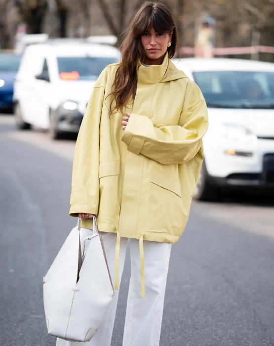 hobo bag