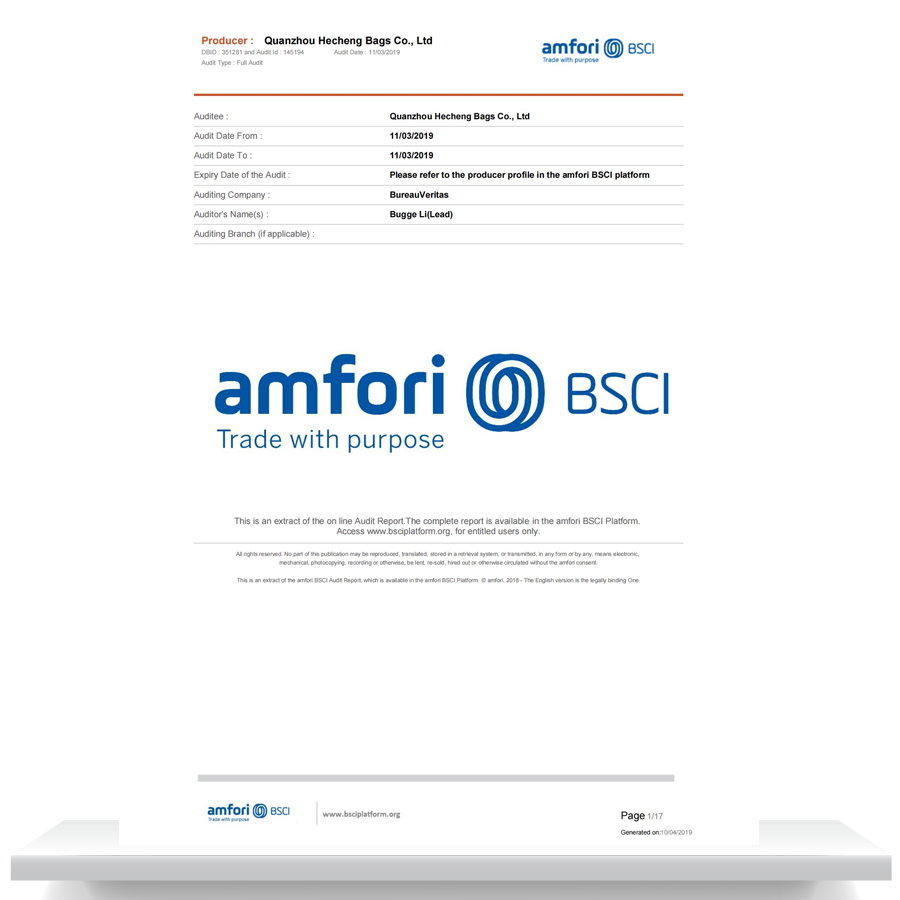 Informe resumido de auditoría