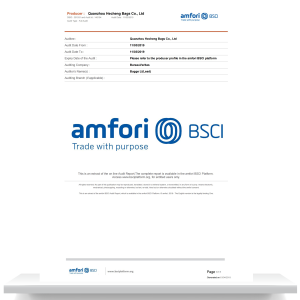 Summary Audit Report