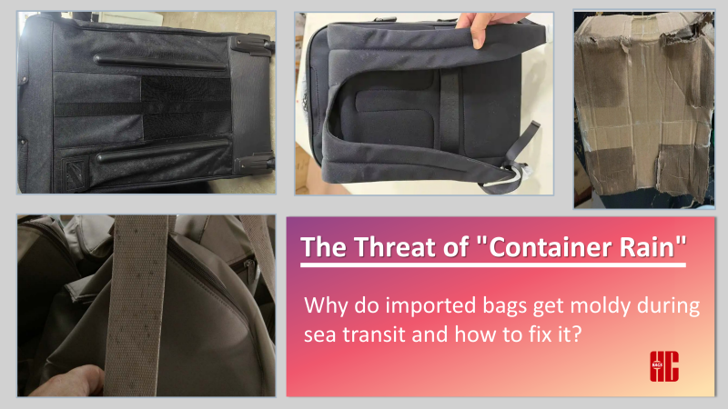 Why Ocean Freight Still Causes Mold in Bags: A Practical Guide for Global Buyers Sourcing from Vietnam