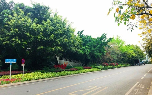 Эффективная борьба с пандемией, содействие возобновлению упорядоченной работы