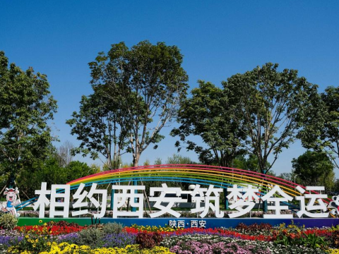 Феникс алюминиевый сияющий Си ''Олимпийский спортивный центр