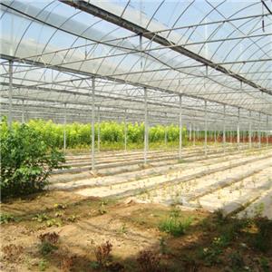 Agricultural light steel farm shed building steel agricultural sheds