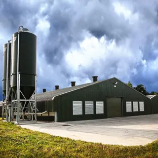 Prefabricated galvanized steel structure chicken shed