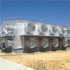 Prefabricated galvanized steel structure chicken shed steel chicken coop