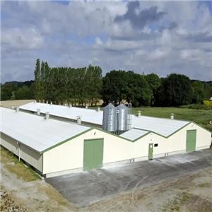 Prefabricated galvanized steel structure chicken shed steel chicken house