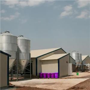 Prefabricated galvanized steel structure chicken shed steel hen house