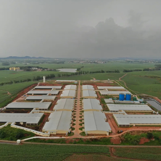 Prefabricated galvanized steel structure pig shed Prefabricated galvanized steel structure pig shed
