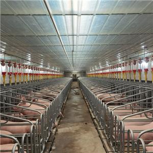 Prefabricated galvanized steel structure pig shed steel structure chicken house