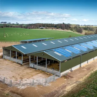 Prefabricated galvanized steel Structure Cow Shed