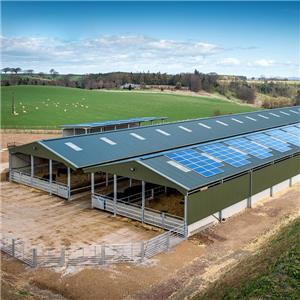 Prefabricated galvanized steel Structure Cow Shed steel structure poultry house