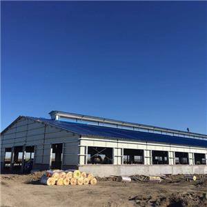 Prefabricated galvanized steel Structure Cow Shed Steel structure cowshed