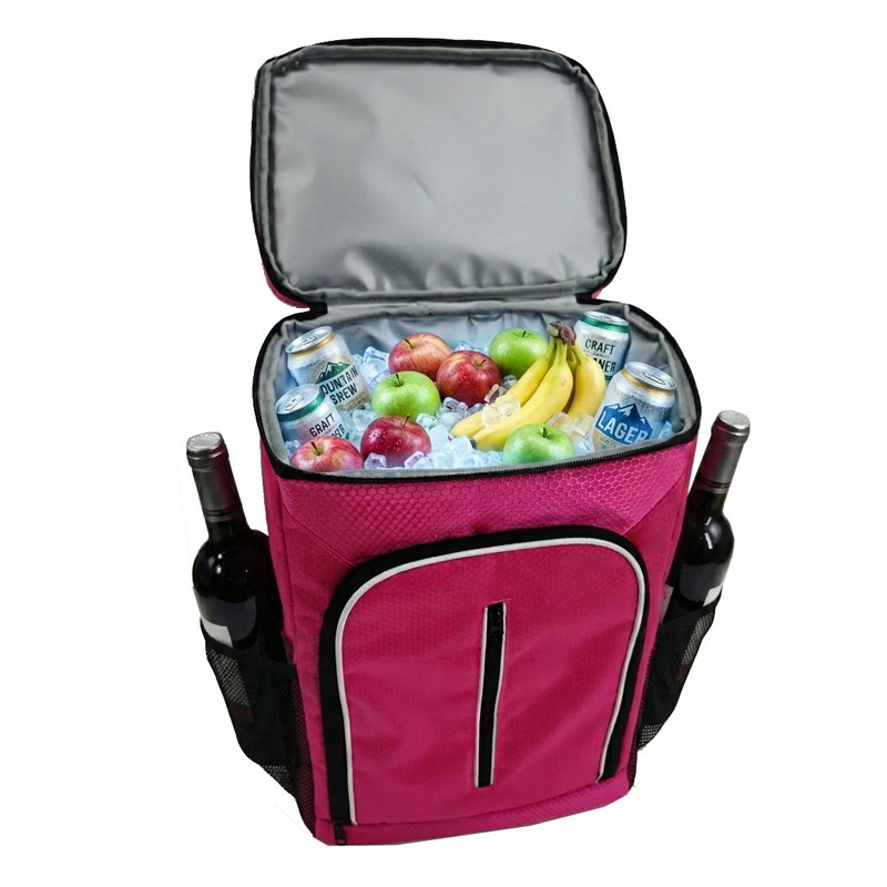 insulated backpack