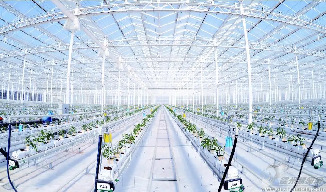 Why the toughened safety glass is best for greenhouse?