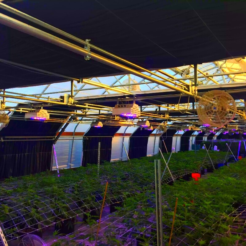 Agriculture Greenhouse Blackout