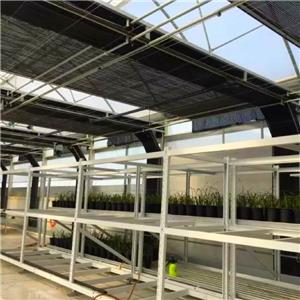 Agriculture Greenhouse Blackout