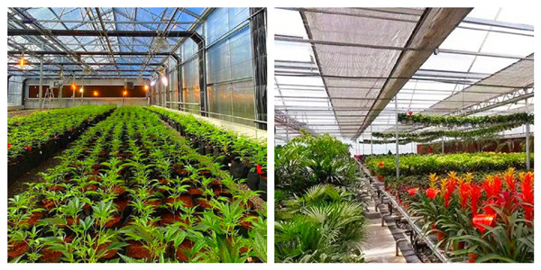 greenhouse blackout curtain systems