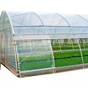 agriculture simple greenhouse