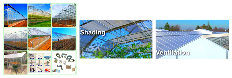 garden grow greenhouse tunnel