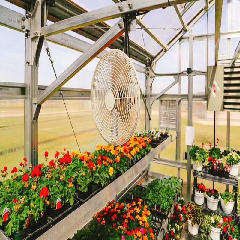 natural ventilation in greenhouse
