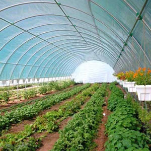 garden grow greenhouse tunnel