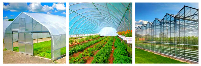 multi tunnel greenhouse